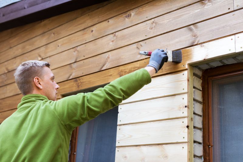 Cladding Painting in Longmont, CO